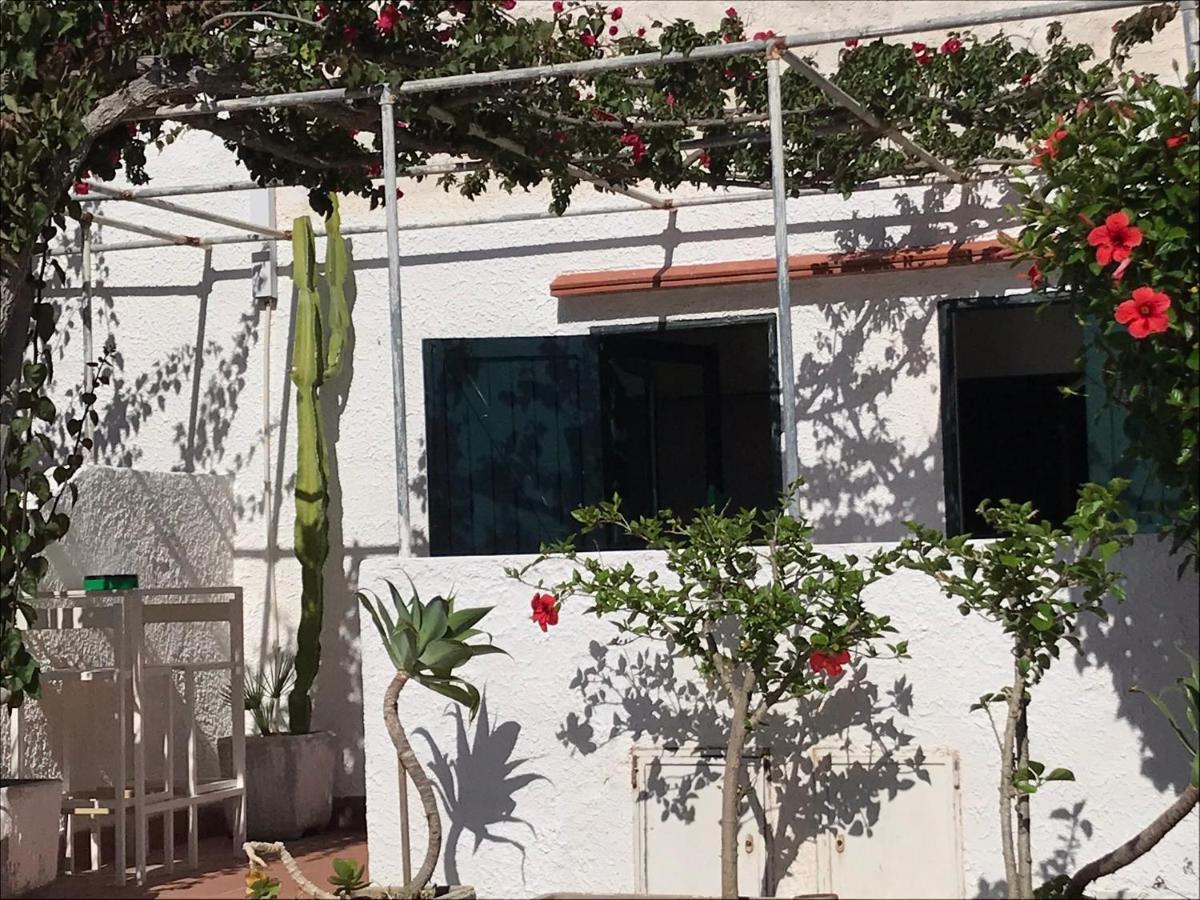 Casa Mamma Bruna Σαν Βίτο λο Κάπο Εξωτερικό φωτογραφία